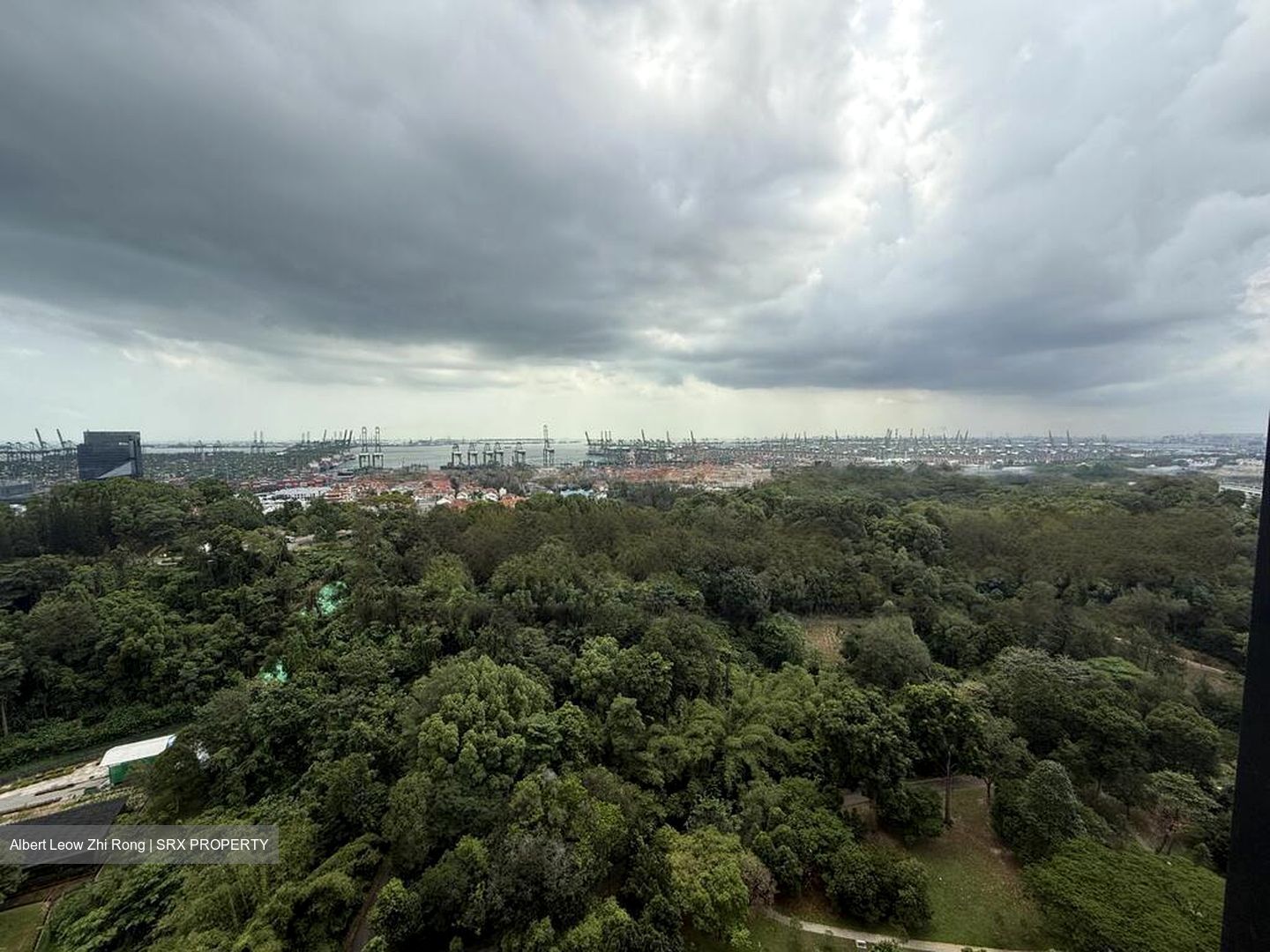 Normanton Park (D5), Apartment #523784341
